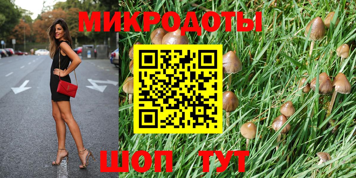 Псилоцибиновые грибы мицелий Коряжма