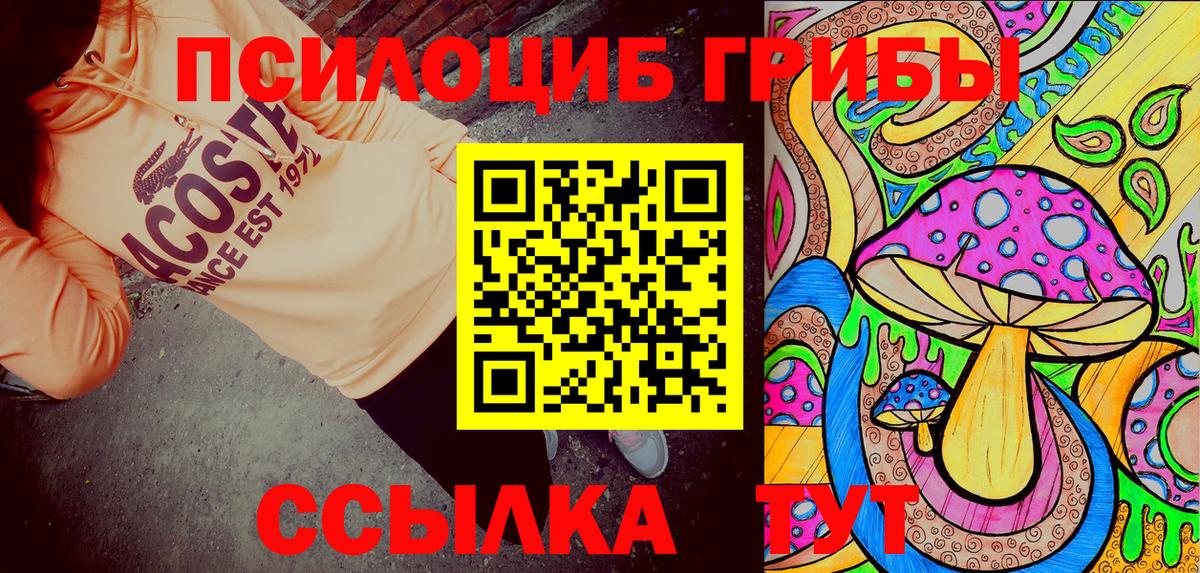 купить   Вход с VPN  Коряжма  Псилоцибиновые грибы прущие грибы 